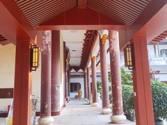 -深圳仙湖植物园
