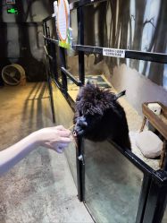 -酷嗒动物文化乐园(cutezoo西溪乐天城店)