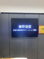 点击看大图 -藤野造型