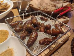 -鸽子窝(青塔店)