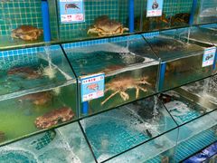 水产区-琼大师东方烤乳猪(亚特兰蒂斯店)