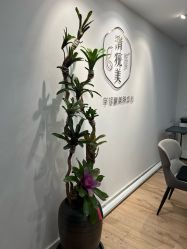 -清疣美疣·痣·斑净肤中心