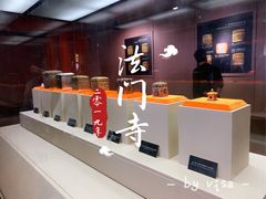 -法门文化景区