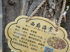 -北京鲁迅博物馆(北京新文化运动纪念馆鲁博馆区)
