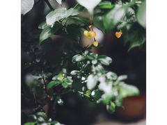 -边渡咖啡烘焙店(昙华林店)