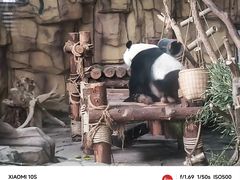 -泉州海丝野生动物世界