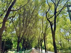 -上海交通大学(闵行校区)