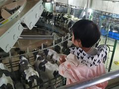 -君乐宝优致牧场
