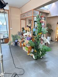 点击看大图 -七色田儿童摄影(静安店)