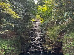 -十八棵（老龙井）御茶园(老龙井店)