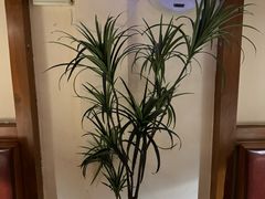 -和创柚子·会席日本料理(新区淮海街店)