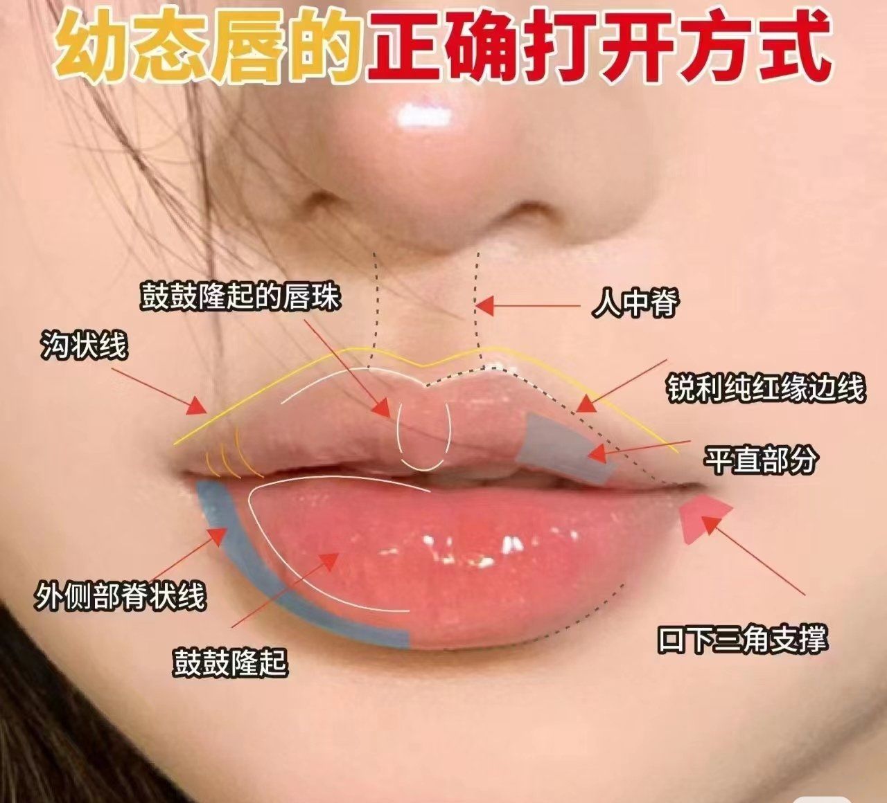 探索唇部美学秘籍