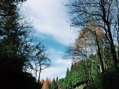 -山王坪喀斯特国家生态公园