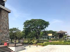 -大湾区中央湿地公园