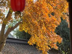 -惠山古镇·寄畅园