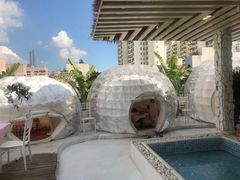 -天空花园餐吧·生日·团建(南山店)