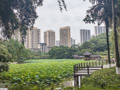 -龙头寺公园
