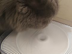-猫和宫(六道口店)