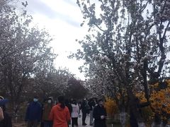-元大都城垣遗址公园