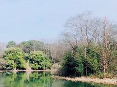 -西溪国家湿地公园