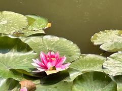 -大连金龙寺国家森林公园-售票处