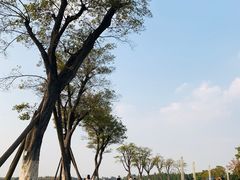 -滆湖低碳生态公园