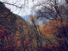 -叠溪松坪沟景区