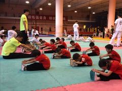 -武术世家少儿培训中心(首都体育学院店)