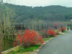 -苏州上方山国家森林公园
