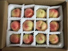 -南汇水蜜桃采摘(大团店)