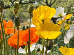 -名花谷生态庄园