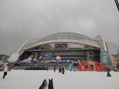 -沈阳奥体冰雪嘉年华