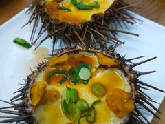 -海胆小馆(东北水饺·春柳店)