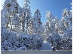 -瓦屋山景区
