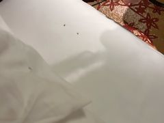 -连云港金陵海州湾会议中心