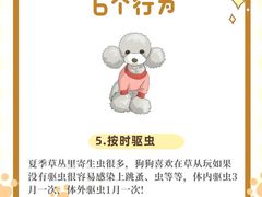 -莘程宠物医院(金山店)