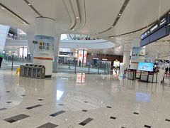 -LV路易威登(大兴国际机场店)
