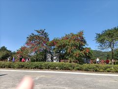 -广州市石门国家森林公园
