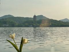 -柳莺湖上·湖景餐厅·江南菜(西湖店)