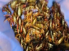 -西湖船菜(湖滨·碧水山庄店)