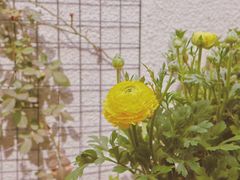 大堂-About Bistro關於·泰式家庭料理
