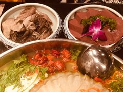 -大红袍火锅料理(尖沙咀店)