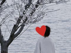 -羊山湖公园
