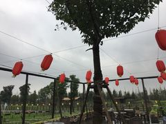 -田园东方蜜桃村的田野营地