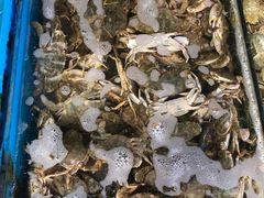 -盛华世家商业广场农贸水产综合批发市场