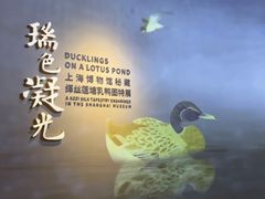 -上海博物馆(人民广场馆)