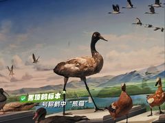 -四川大学博物馆