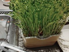 -海底捞火锅(龙湖北京大兴天街店)