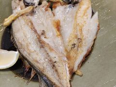 铁板香煎黄鱼-原志优秀食材·匠心料理·海胆主题(金亿广场店)