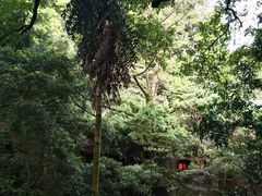 -飞霞风景名胜区
